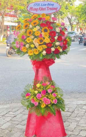 Giao Hoa Tận Nơi Tại Thị Trấn Ngan Dừa, Hồng Dân, Bạc Liêu