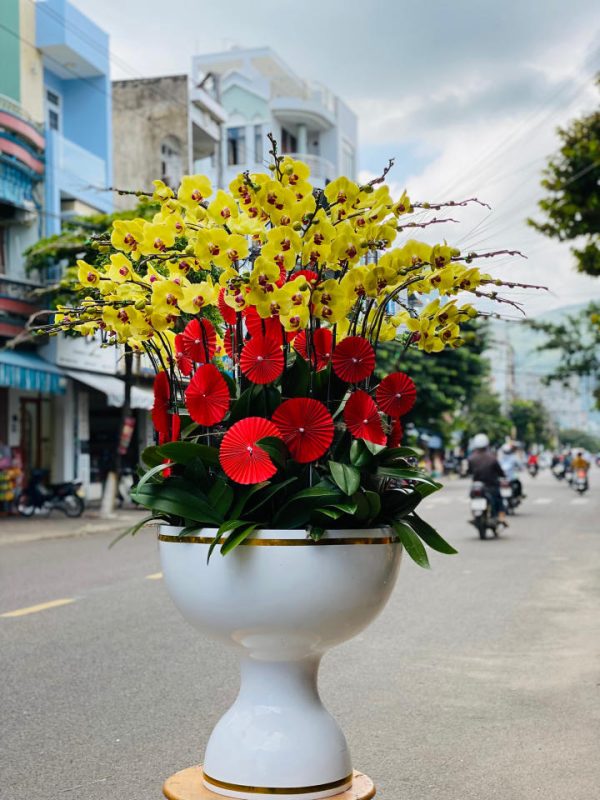 Chậu lan hồ điệp - 21